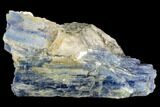 Vibrant Blue Kyanite Crystals In Quartz - Brazil #118869-1